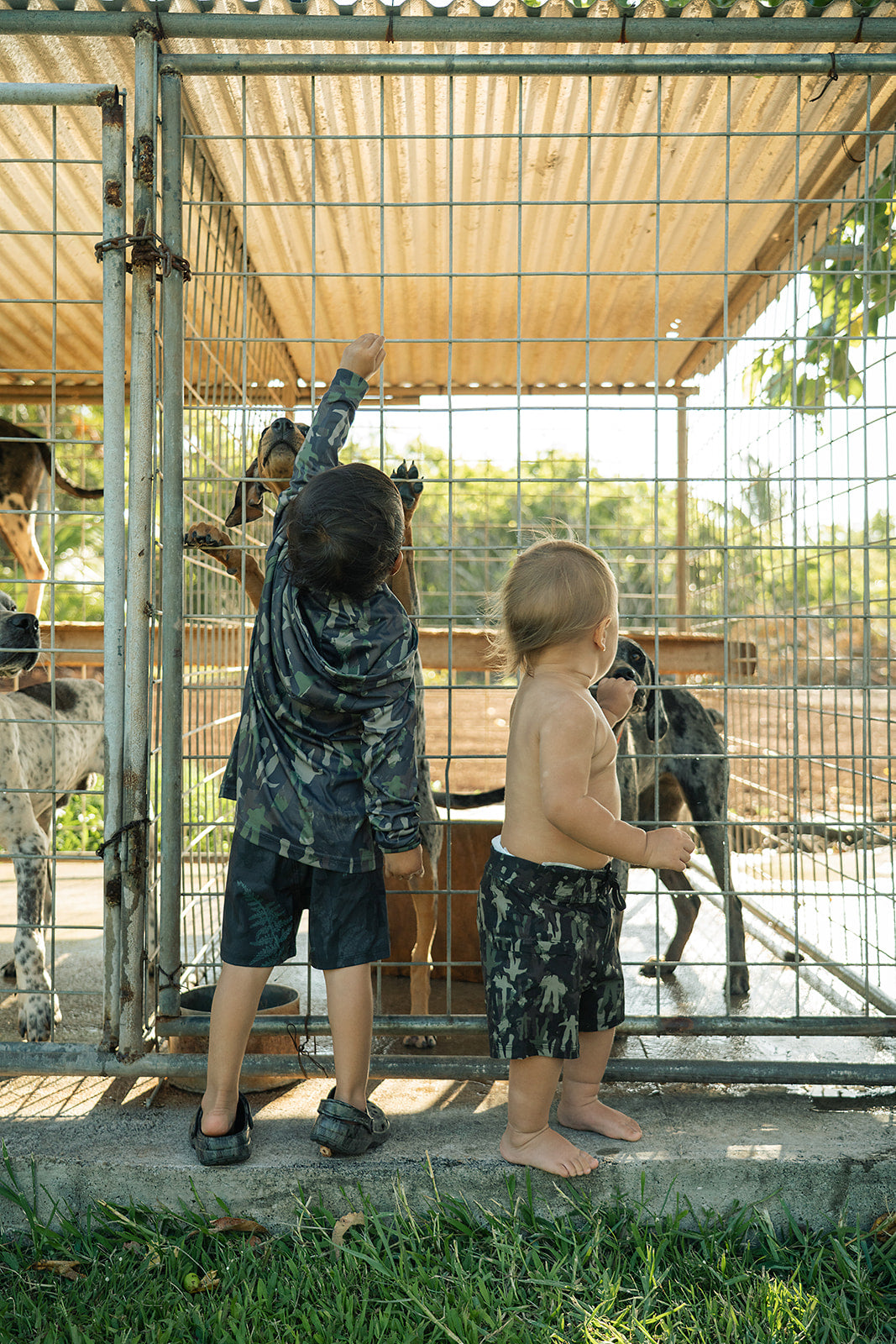 Keiki War Boarshorts