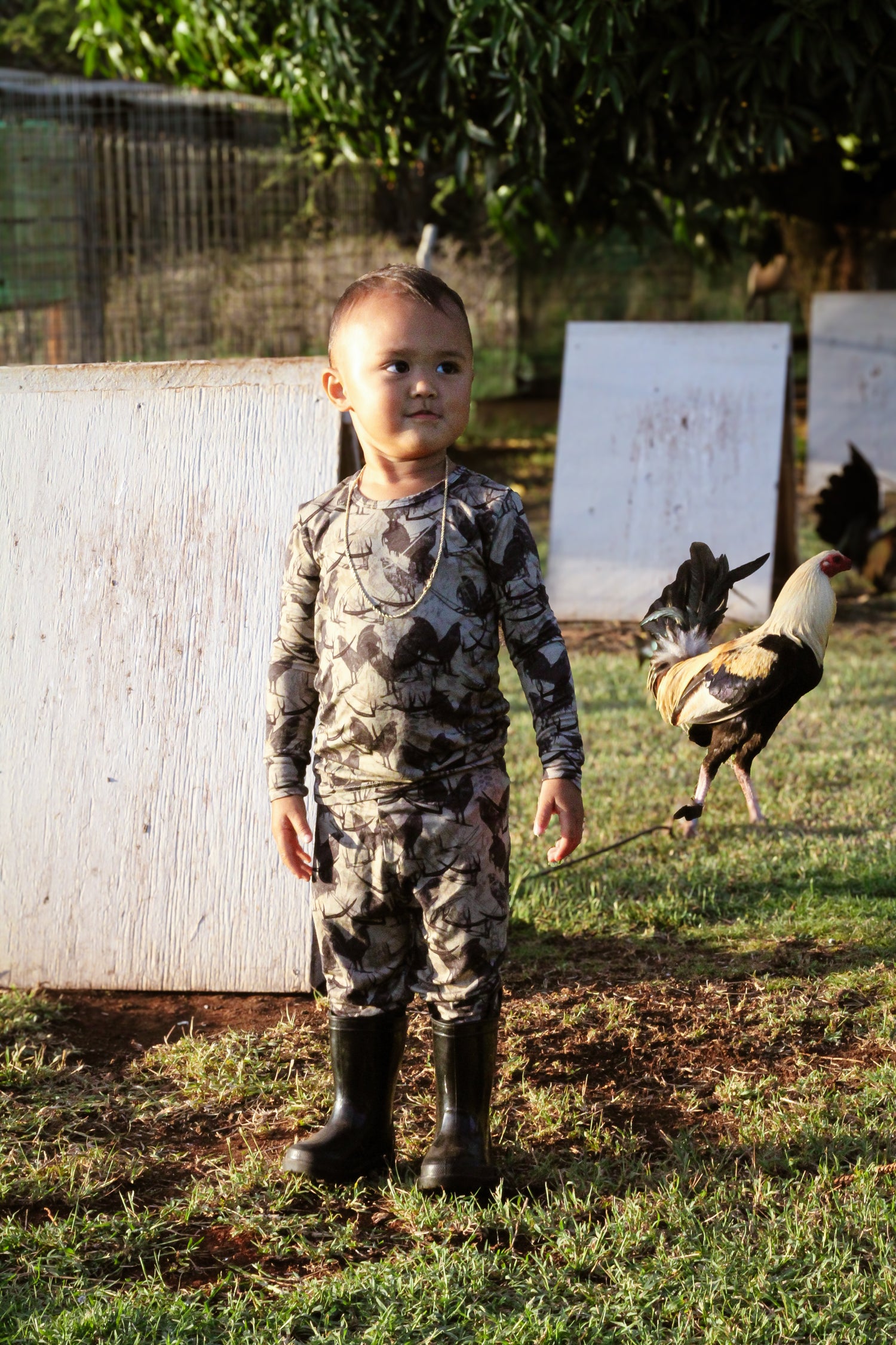 BIRD 🐓❤️‍🔥