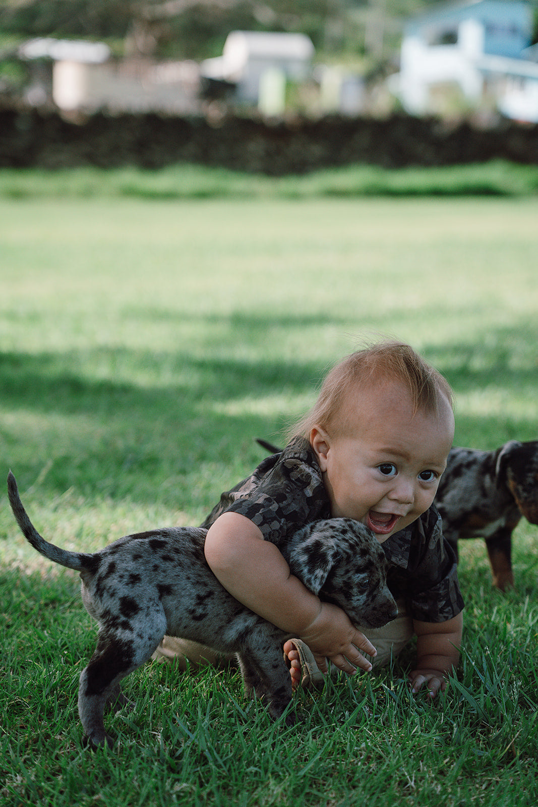 Keiki Dark Waiwi Button Down